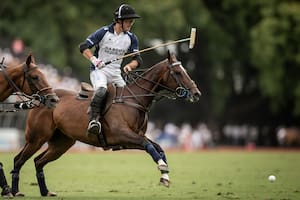 Polo de otoño. Buena parte del Abierto de Palermo disputa la Copa República