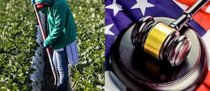 Desde hoy Uscis avanza con una reforma que podría cambiar permisos de trabajo y asilo