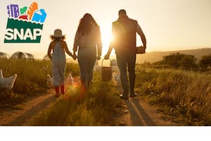 Cuándo se deposita el beneficio del programa SNAP de febrero 2026