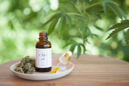 El uso de cannabis creció en los últimos años, especialmente entre adultos mayores