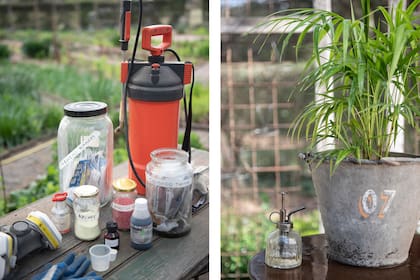 El uso de fungicidas sistémicos para combatir hongos patógenos elimina también a los hongos buenos