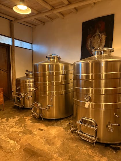 El uso de la microbiología ayuda a la calidad del terroir.