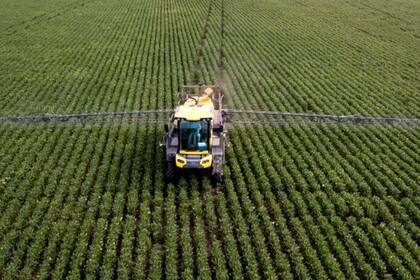 El uso de pesticidas se volvió la práctica predominante desde el siglo XX