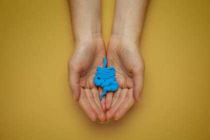 El uso de remedios naturales contribuyen al funcionamiento adecuado del intestino