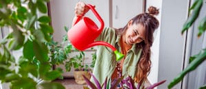 Esto dice la ley sobre el uso de parrillas, maceteros y tenders en el balcón