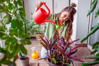 Esto dice la ley sobre el uso de parrillas, maceteros y tenders en el balcón