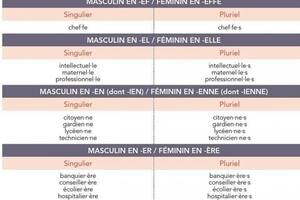 El uso del punto medio en el francés, para incluir los dos géneros