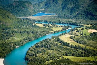 Un paraíso de biodiversidad: en Chile, lograron comprar 130.000 hectáreas y convertirlas en una reserva