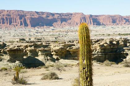 El Valle de la Luna es un desierto inmenso donde antes había un lago