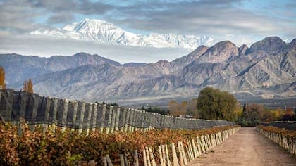 El valor del dólar blue en Mendoza