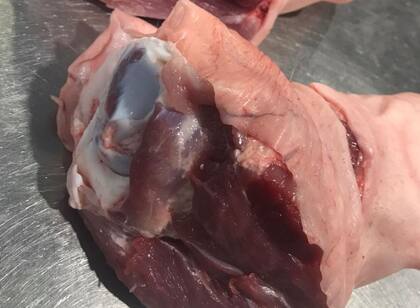 El valor nutricional es que por cada 100 gramos de codillo, el aporte es unas 171 kilocalorías (kcal), unos 18 gramos de proteínas y 11 gramos de grasa