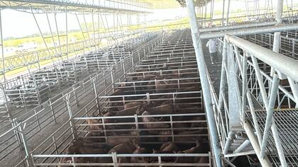 El valor sugerido para arrendamientos resultó de $2226,819