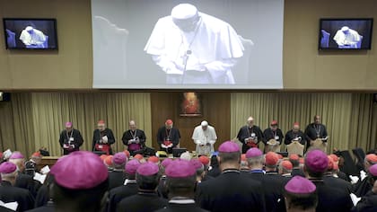 El Vaticano afirma que la difusión de la carta crítica de cardenales al papa Francisco "fue un acto de disturbio"