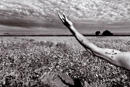 El veneno llega del cielo