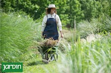 Qué plantas podar, cuándo y por qué