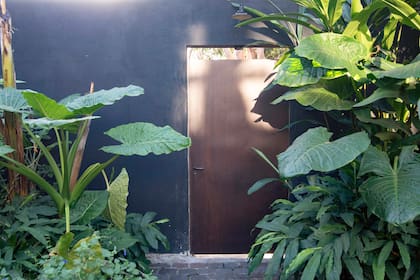 El verdadero carácter del jardín muchas veces está en las hojas, no en las flores