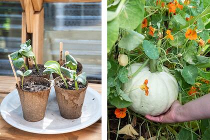 "El verdadero lujo esta en la naturaleza", cuenta Paula, y agrega que "en el jardín no encuentro la mirada del otro, nadie te juzga".