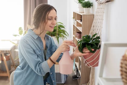 El verde de las plantas o de la vestimenta tiene una connotación positiva
