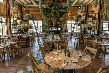 El verde natural de afuera se continúa adentro con plantas por todas partes