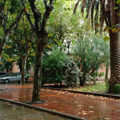 El verde predomina en los espacios comunes del barrio