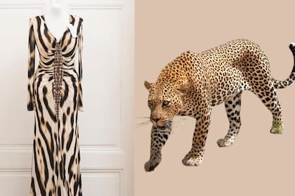 Un clásico de Susana Giménez en Animalia: el vestido Cavalli que la diva prestó para la muestra estampa la piel del leopardo