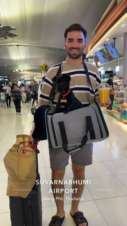El viaje fue estresante para Luna pero, una vez en casa, se relajó.