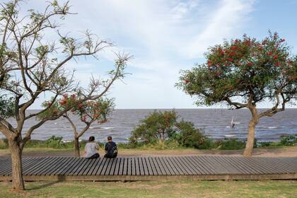 El Vial Costero de Vicente López: un paseo de 5 km de extensión.