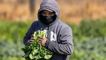 El vicepresidente entrante, JD Vance, ha declarado que las deportaciones podrían comenzar con un millón de personas