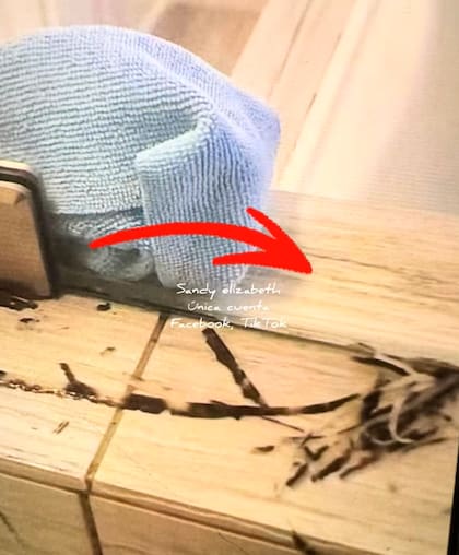 El video de la creadora de contenido se fue viral (Foto: @sandy.elizabeth.ec)