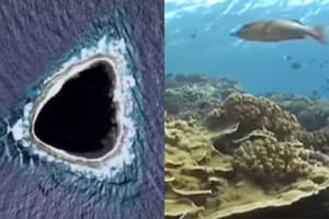 El video de un buzo que exploró un misterioso “agujero” oculto que apareció en Google Maps
