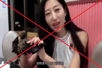 El video de una mujer comiendo carne de murciélago no fue filmado en Wuhan, sino años atrás en Palau