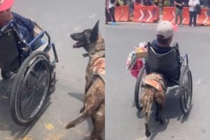 Está en silla de ruedas, trabaja como vendedor ambulante y el gesto de su perro conmueve a las redes