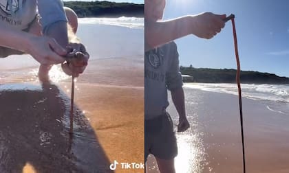 El video del instante se volvió viral en TikTok
