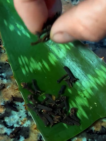 El video explicativo se viralizó rápidamente en las redes sociales (Foto: @maxipermacultura)