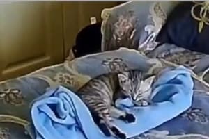 El video se viralizó rápidamente y generó todo tipo de comentarios