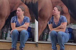 Un caballo consoló a su dueña y se volvió viral: “Me ayudó a sanar”