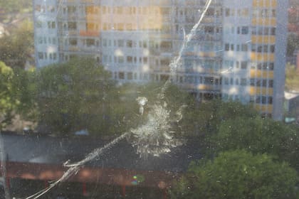 El vidrio de una ventana puede resultar invisible o encandilar a un pájaro, que al impactar contra él puede perder la vida o quedar a merced de un depredador