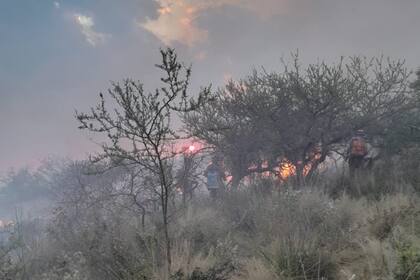 El viento y las condiciones climáticas hacen que combatir el fuego sea “casi imposible”.