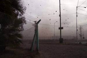 El viento Zonda afectó varias localidades de Mendoza