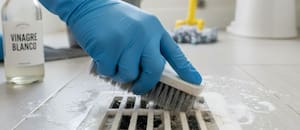 Inesperado: por qué hay que ponerle vinagre al agua para limpiar los pisos