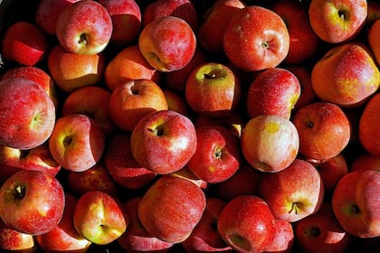 El vinagre de manzana se hace a partir de la fermentación de los azúcares del jugo de manzana o de sidra.