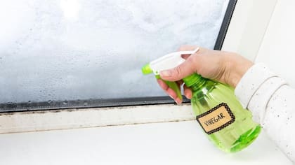 El vinagre es esencial para ahuyentarlas