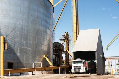 El vínculo con los productores de la zona es circular: “Muchas veces los mismos productores a los que les compramos materia prima son esos mismos que tienen alguna actividad ganadera; entonces les vendemos a ellos los productos para suplementar el ganado”
