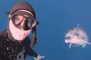 Buceaba en Grecia, se cruzó con un delfín y entabló una relación que terminó con un gesto asombroso