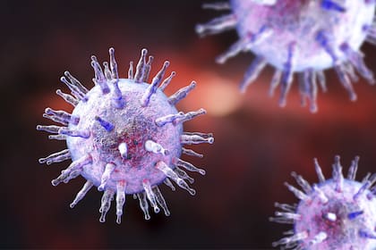 El virus de Epstein-Barr, que provoca la mononucleosis, puede permanecer en la saliva por meses después del cuadro infeccioso
