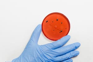 Este es el virus que acompaña a la humanidad desde hace más de 2500 años