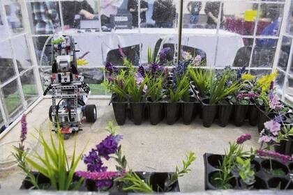 El vivero automatizado fue un proyecto de alumnos de cuarto año que ganó varios premios