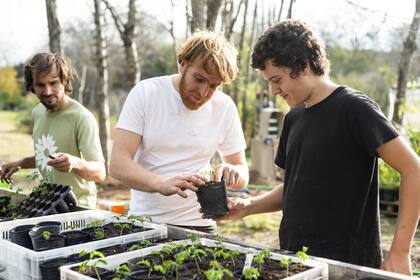 El vivero Flora Nativa es un proyecto de la ONG sin fines de lucro Germinar. Queda en Belén de Escobar. También organizan talleres, charlas y encuentros de voluntariado con la comunidad.