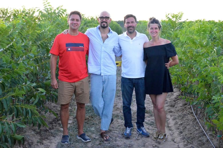 Lo trajo Sarmiento: Argentina ya produce 4000 toneladas de nuez pecán con Abel Pintos como embajador