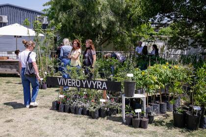 El vivero Yvyrá ofrecerá una gran variedad de plantas nativas.